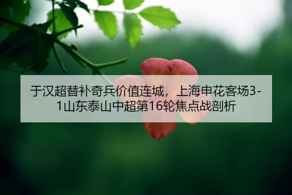 yu-han-chao-ti-bu-qi-bing-jia-zhi-lian-cheng-shang-hai-shen-hua-ke-chang-shan-dong-tai-shan-zhong-chao-di-lun-jiao-dian-2-942.jpg
