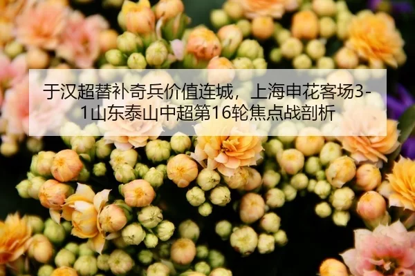 于汉超替补奇兵价值连城，上海申花客场3-1山东泰山中超第16轮焦点战剖析